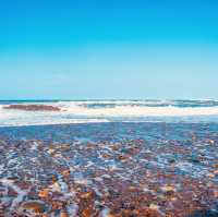 Summer Escape to Ōarai Isosaki Shrine (大洗磯前神社) – Where the Divine Meets the Sea** 🌊⛩️