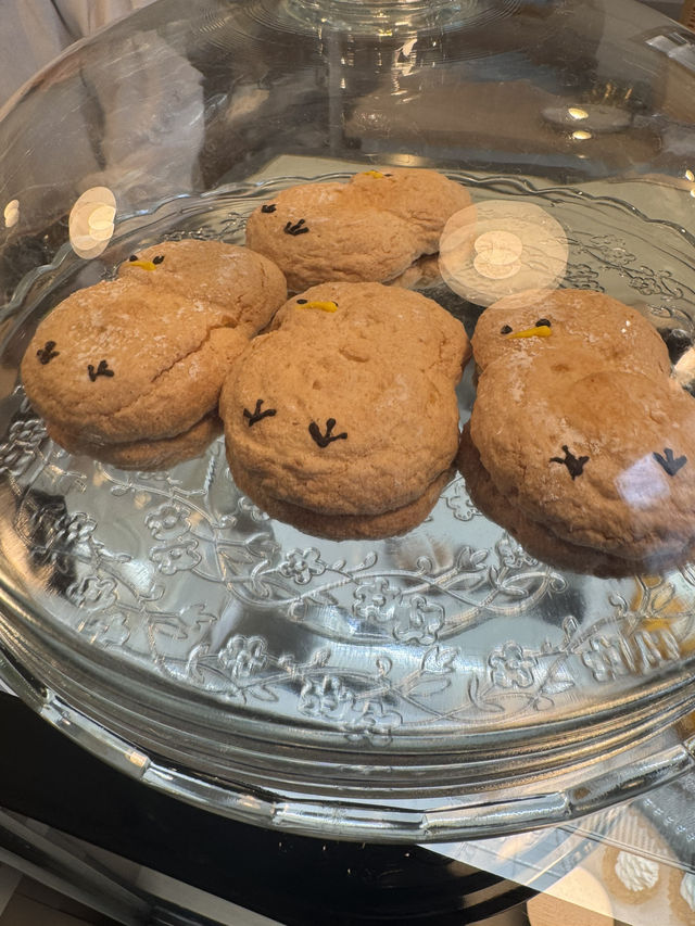【福岡カフェ】季節ごとにかわるスイーツがとても可愛い♡