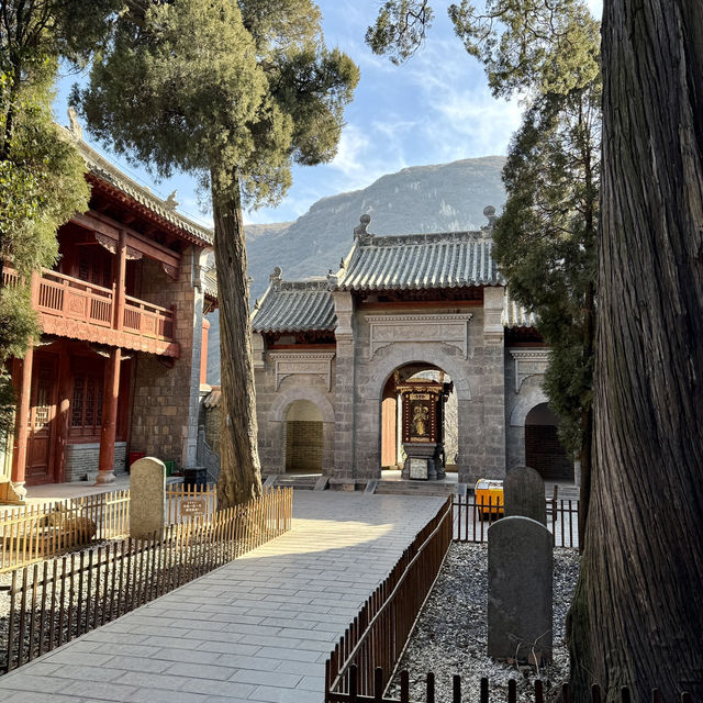 本場の少林寺を見たい人はぜひ！🇨🇳