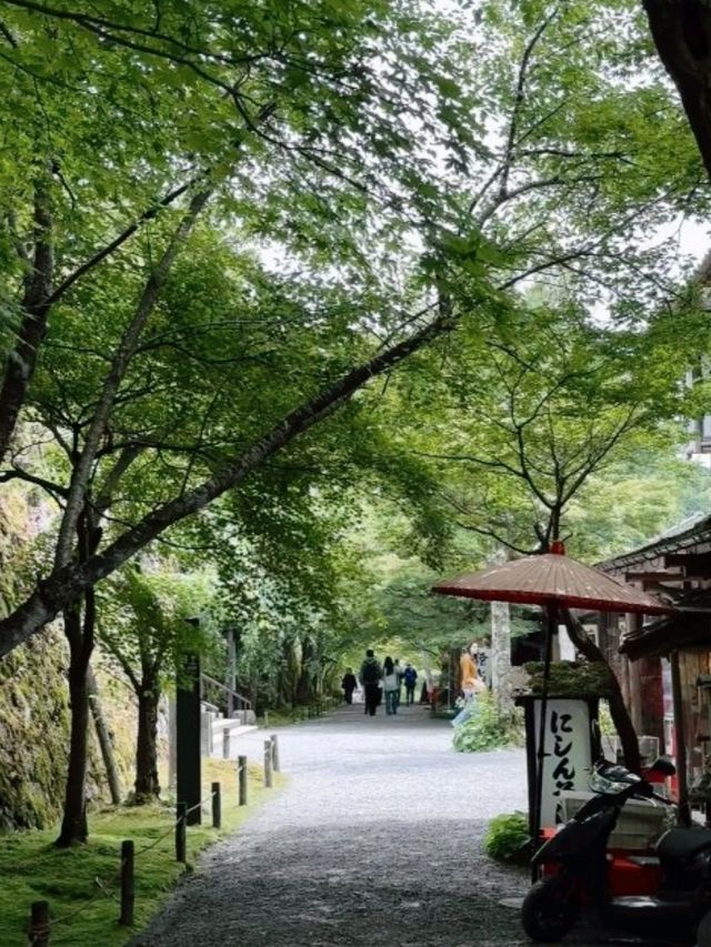 京都必去景點（八） 三千院🌳禪意之美