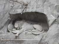 🦁 Quiet Reflection at the Lion Monument in Lucerne