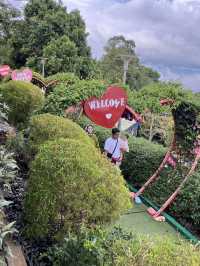🚞 Penang Hill Funicular Ride — A Journey Through the Clouds ☁️🌿