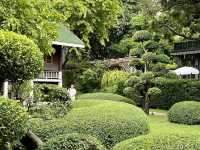 sanctuary in the vibrant city 