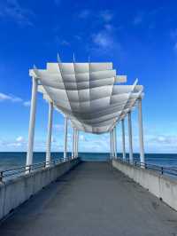 🏝 Marine Parade Viewing Platform ｜Napier 海濱平台漫步與海浪對話