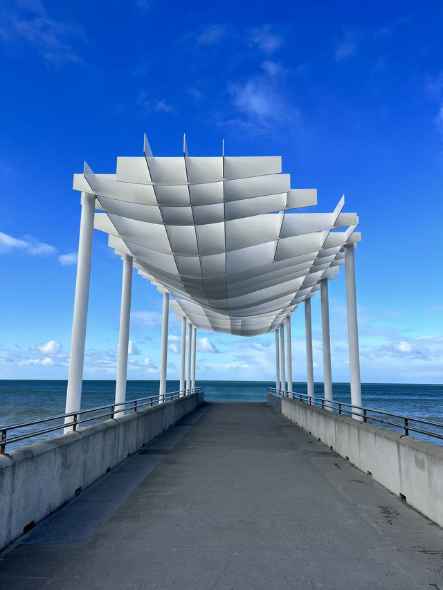 🏝 Marine Parade Viewing Platform ｜Napier 海濱平台漫步與海浪對話