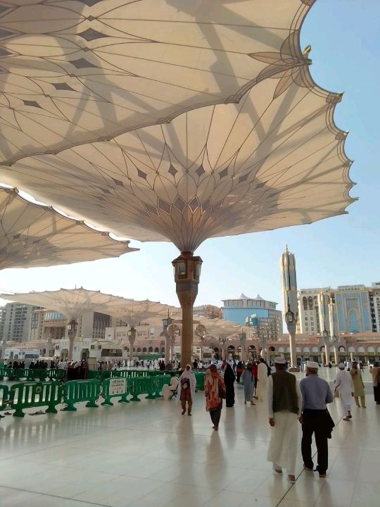 Medina: A City of Peaceful Radiance and Deep Connection 🇸🇦✨