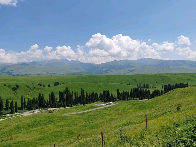 Mengteke Ancient Road: Discovering Nature's Splendor