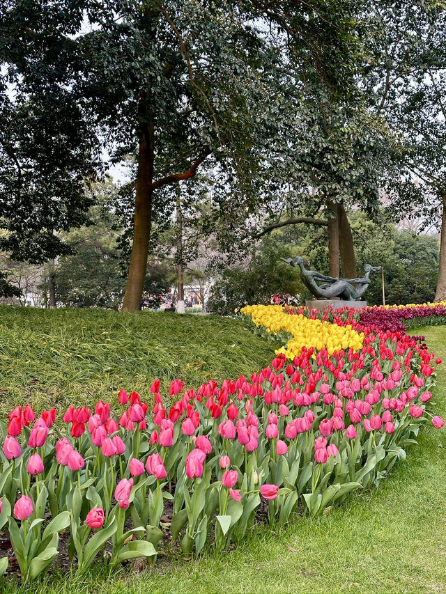 Hangzhou Citywalk Guide 🌷🍵✨