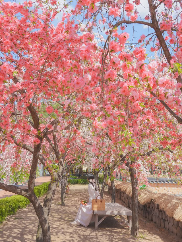 하늘 아래 천국이 있다면 바로 여기일거야🌸❤️