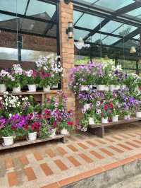Nature Retreat at H Benjamin Residence