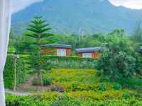 ฤดูภูเขา - Chiang Dao, Chiang Mai  