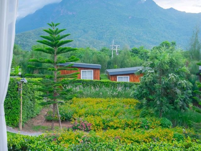 ฤดูภูเขา - Chiang Dao, Chiang Mai  