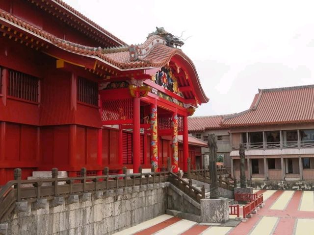 ⛩️ 沖繩漫遊｜首里城、藍色小鳥、庭園午餐和波上宮海景*🐦🌿🌊