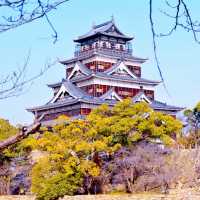 【広島観光】縮景園・広島城🏯