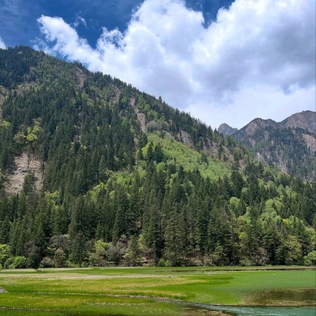 Mirror Lake in Sichuan, Like Walking Into a Postcard