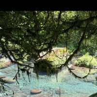 【菊池渓谷】清流と緑に包まれる、熊本の癒しの森🌲💧