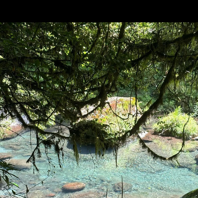 【菊池渓谷】清流と緑に包まれる、熊本の癒しの森🌲💧