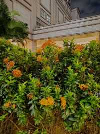 Mandarin Oriental Kuala Lumpur - 5-Star Bliss