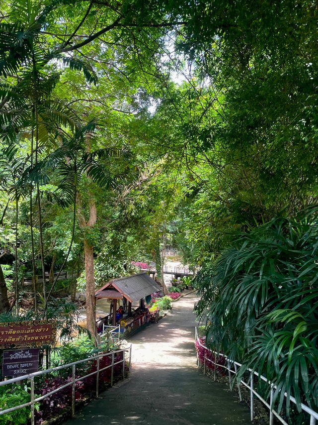 ปางช้างแม่สา🐘🍃