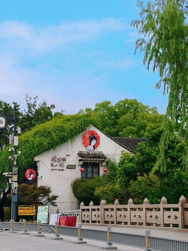 Walking Through Time: My Day at Shantang Street, Suzhou