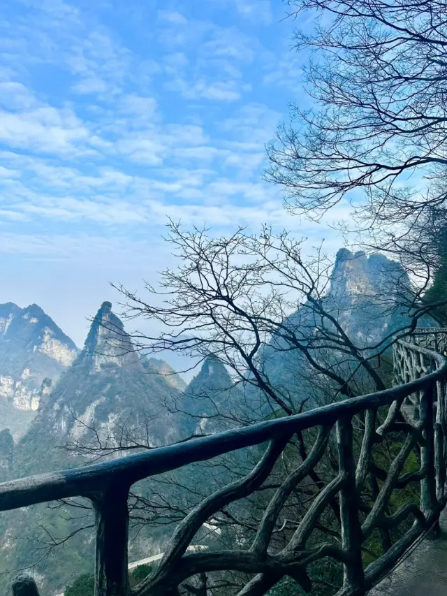 천문동 정복하기: 천문동 가이드