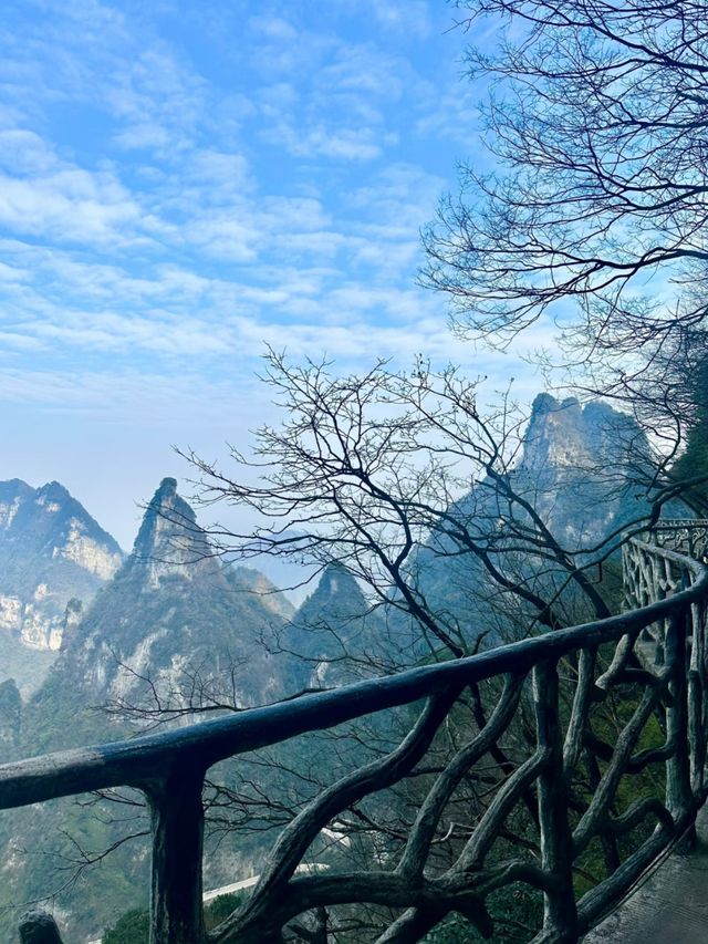 Conquer the Sky Gate: Your Guide to Tianmen Cave