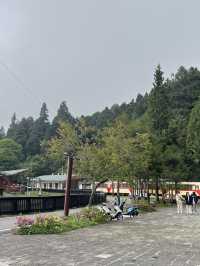 🌲 Alishan Entrance & Hanging Bridge – Gateway to Taiwan’s Forest Wonder