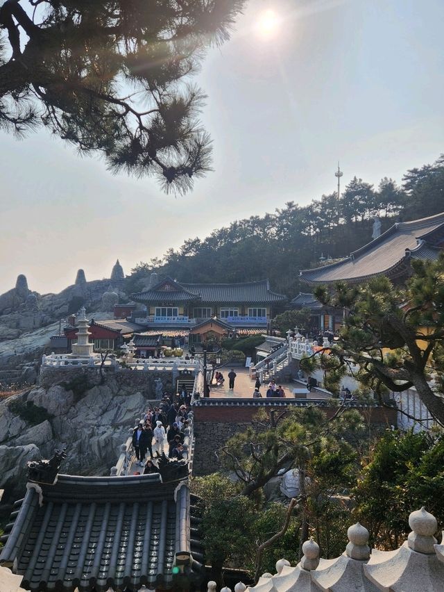바다를 끼고 있는 부산의 관광지, 해동 용궁사