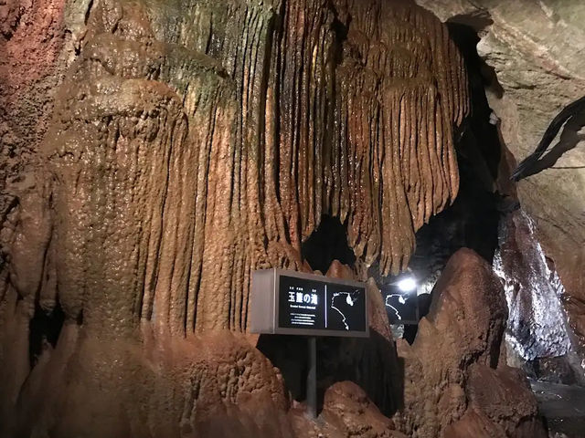 1億7500万年の神秘に触れる!龍河洞で冒険と感動の旅 1億7500万年の神秘に触れる!龍河洞で冒険と感動の旅
