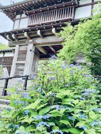 Kubota Castle Front Gate – Otemon