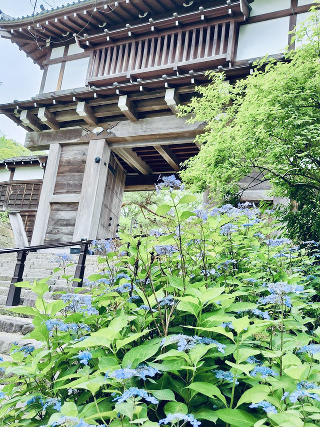 Kubota Castle Front Gate – Otemon