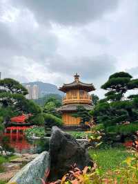 “Tang‑times Tranquil Oasis”