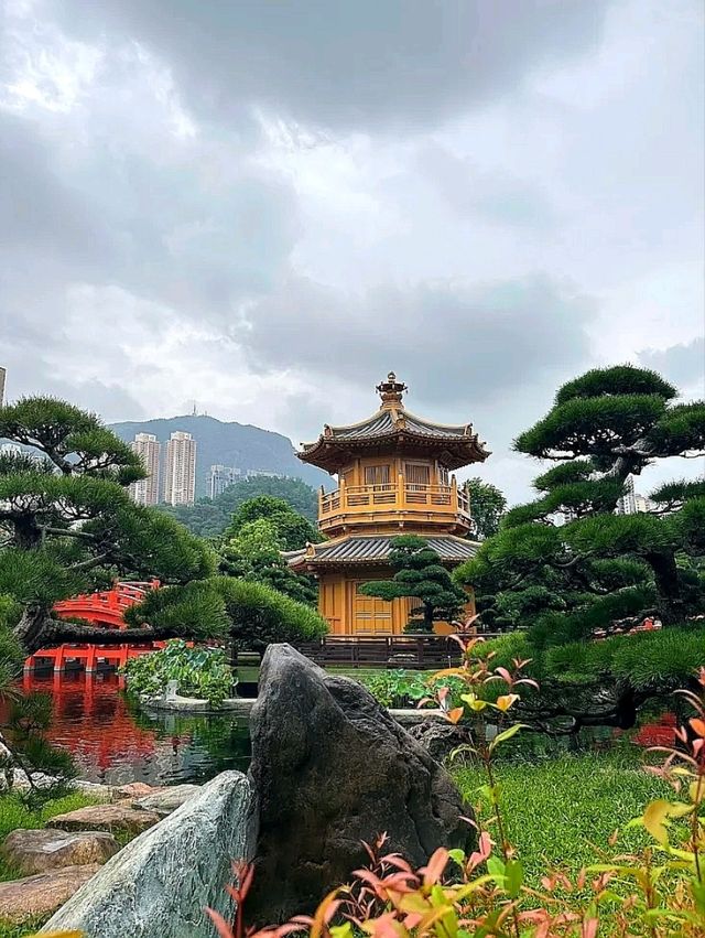 “Tang‑times Tranquil Oasis” “Tang‑times Tranquil Oasis”