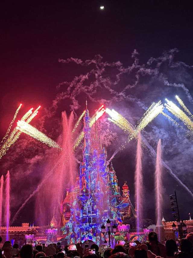 Disneyland in New Year 2025