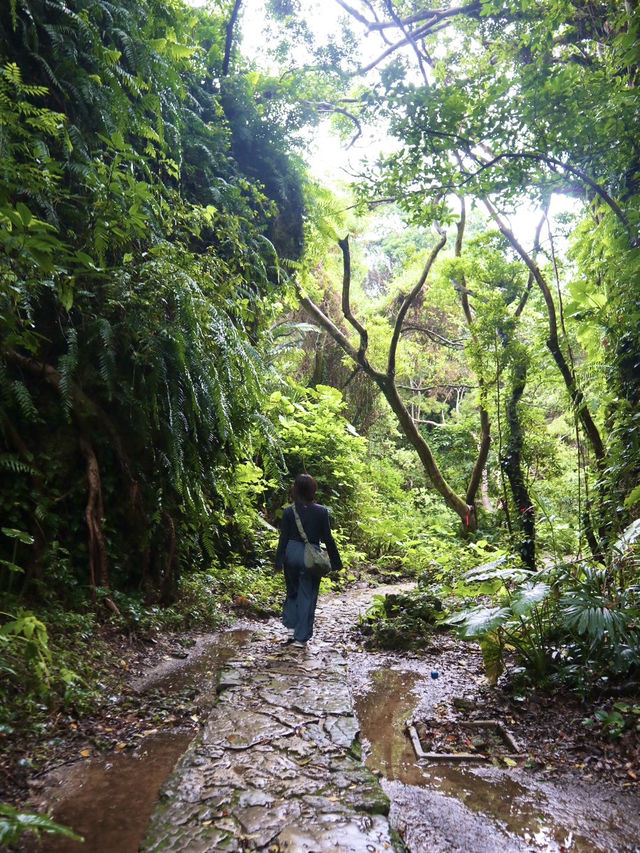 【斎場御嶽】沖縄が誇る世界文化遺産