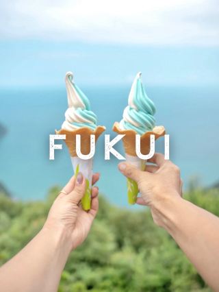 Fukui/Wakasa area gourmet
