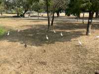 衛武營國家藝術文化中心