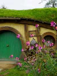 📽ตามรอยหนัง The Lord of the Rings @Hobbiton
