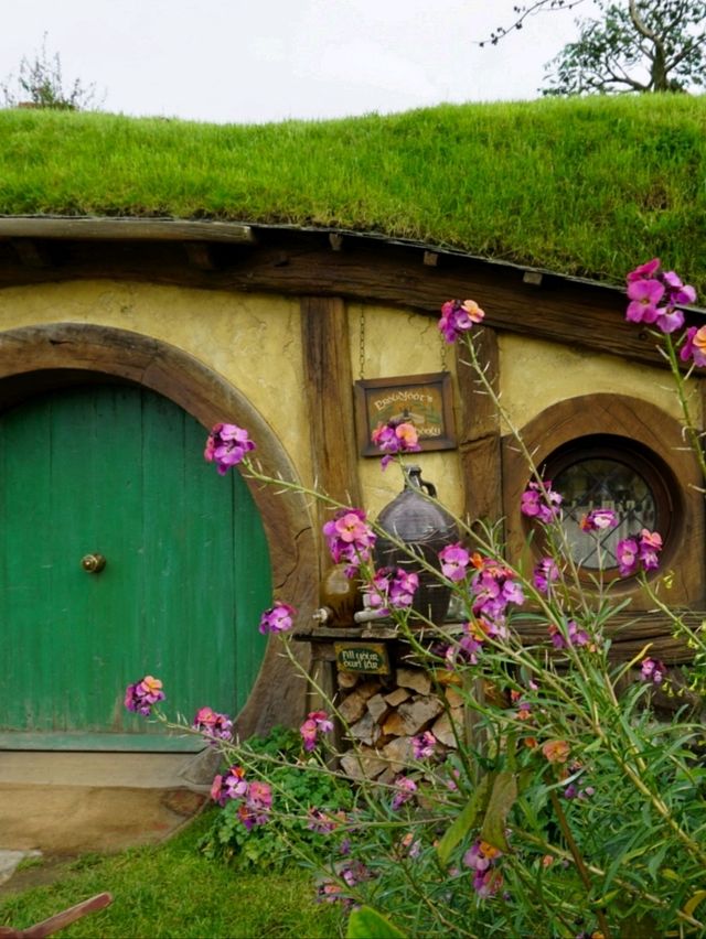 📽ตามรอยหนัง The Lord of the Rings @Hobbiton