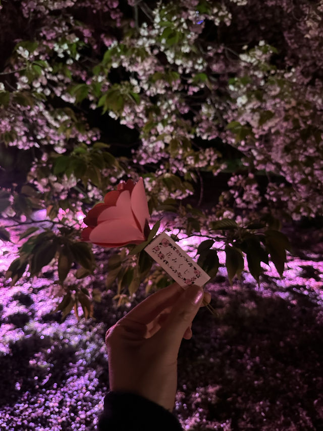 🌸 NAKED 桜の新宿御苑|デジタルと桜が融合する夜のお花見 🌸 NAKED 桜の新宿御苑|デジタルと桜が融合する夜のお花見