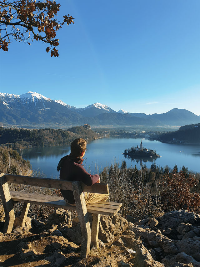 Lake Bled: A Real-Life Winter Fairy Tale