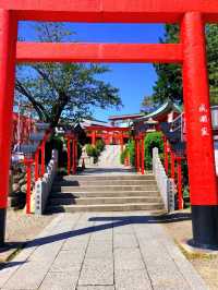 A Timeless Treasure at Inuyama Castle