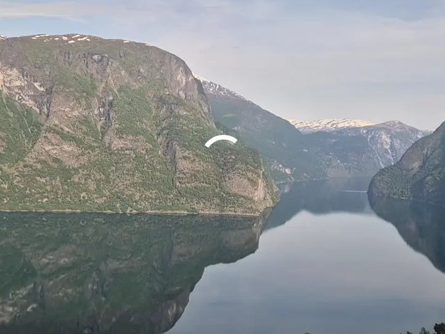 【絶景の宝庫】ノルウェーフィヨルド群で心が洗われる旅🌊✨