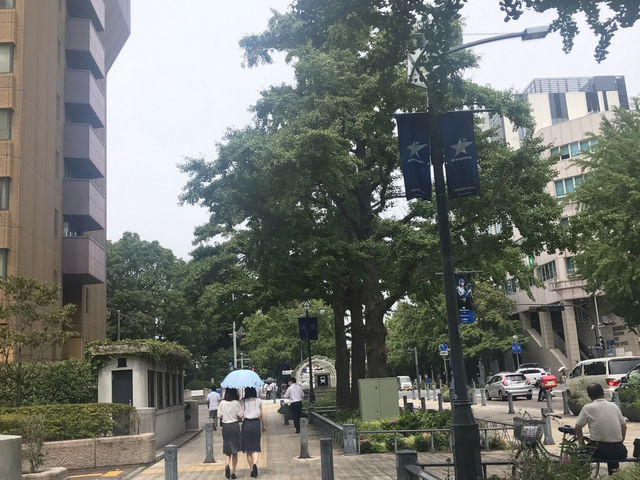 普段着で歩く日本大通りと横浜カルチャー散策 普段着で歩く日本大通りと横浜カルチャー散策