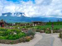 Yun Ti Yang Cafe'