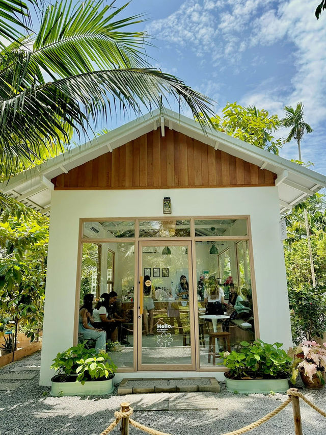 📍PAMA cafe 🌴✨