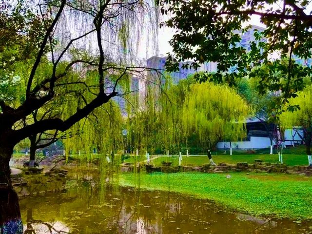 Luobinwang Park: A Cultural Tribute in Yiwu