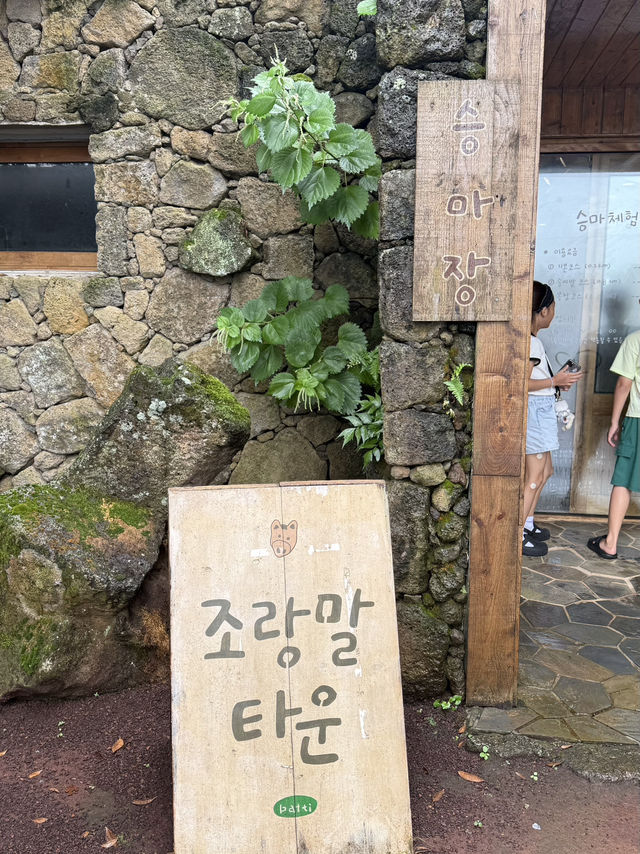 제주여행~