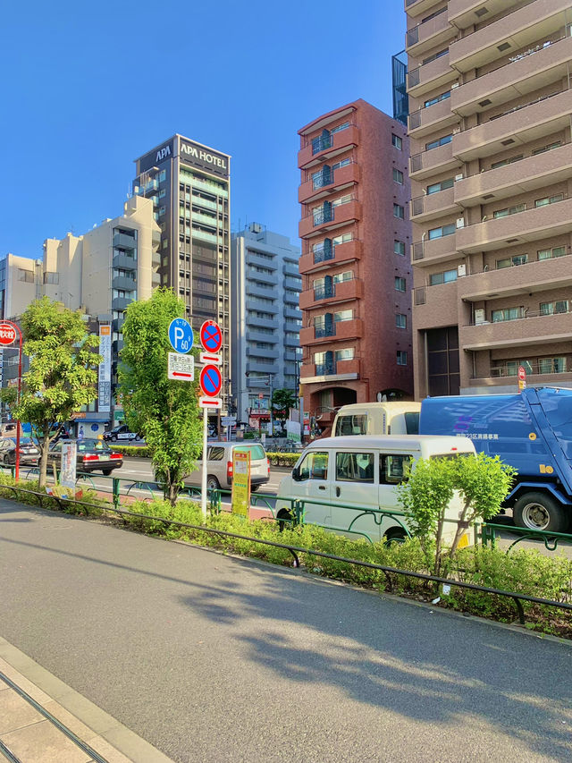 🎡🏰 도쿄 감성+테마파크 여행 ✨🌳