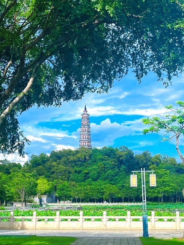 🇨🇳 Foshan, Guangdong